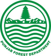 Punjab Logo